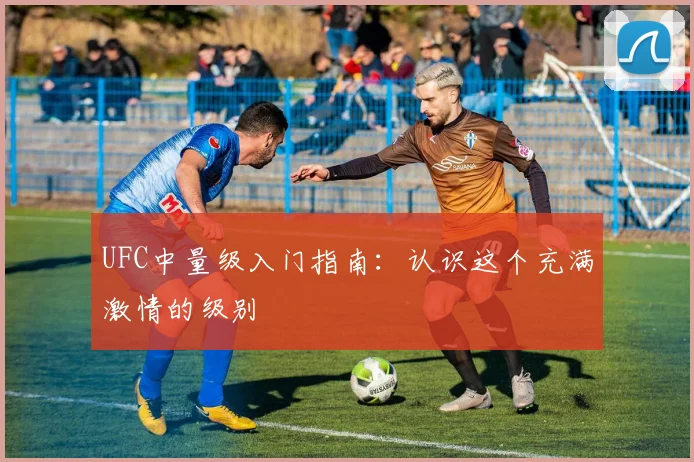 UFC中量级入门指南:认识这个充满激情的级别