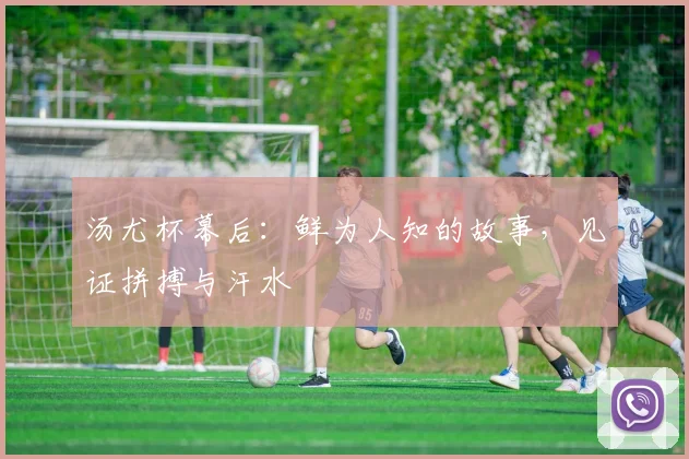 汤尤杯幕后：鲜为人知的故事，见证拼搏与汗水