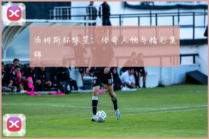 汤姆斯杯球星：传奇人物与精彩集锦