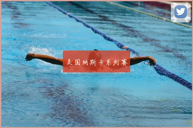 美国纳斯卡系列赛