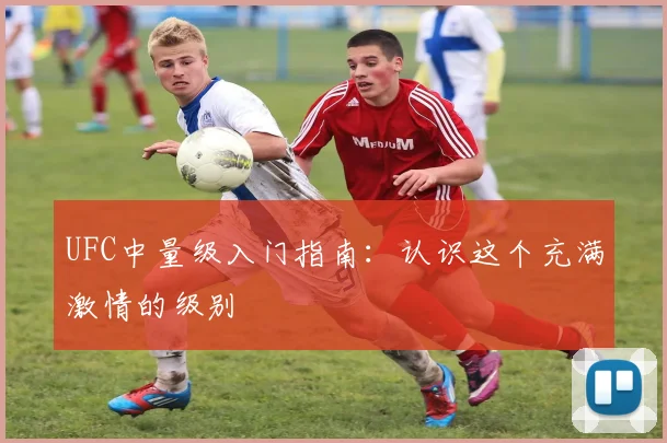 UFC中量级入门指南：认识这个充满激情的级别